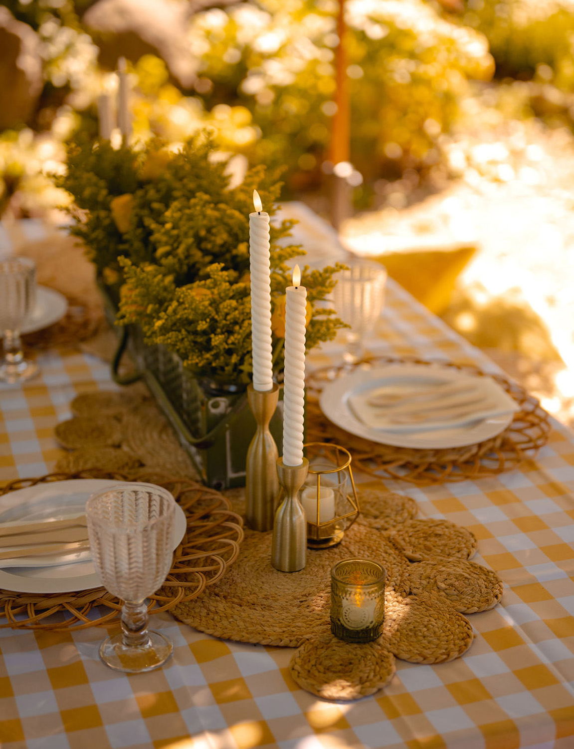 About Picnic Potential